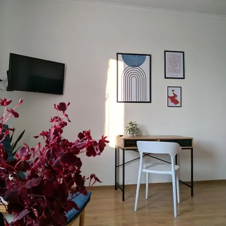 Appartamento In The Center